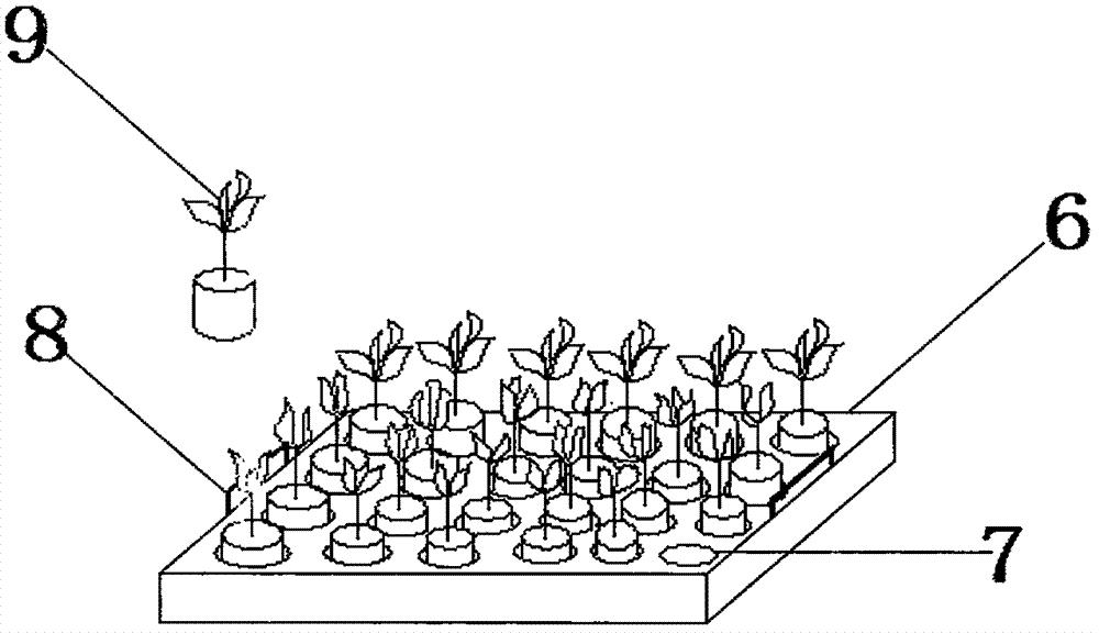 一種菜苗移栽的落架的制作方法與工藝