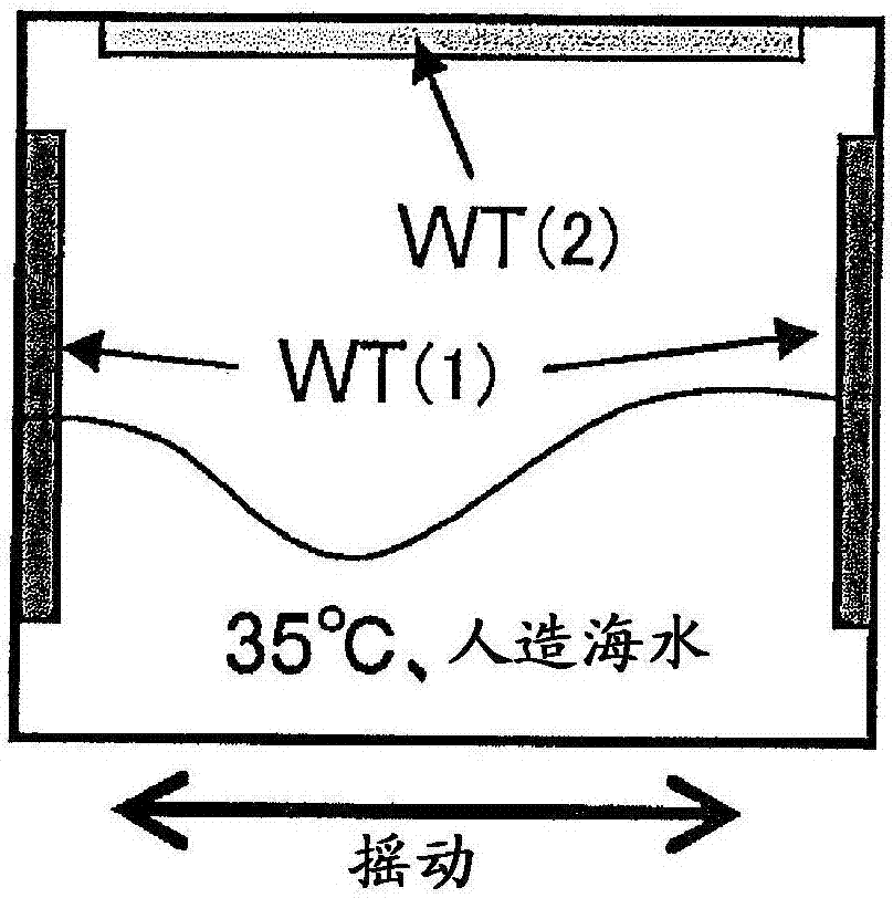 鋼材、使用該鋼材的船舶的壓載艙和船艙、以及具備該壓載艙或船艙的船舶的制作方法與工藝