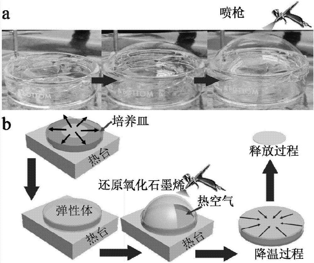 一種基于多級結(jié)構(gòu)石墨烯的可拉伸透明導(dǎo)電彈性體的制備方法與流程