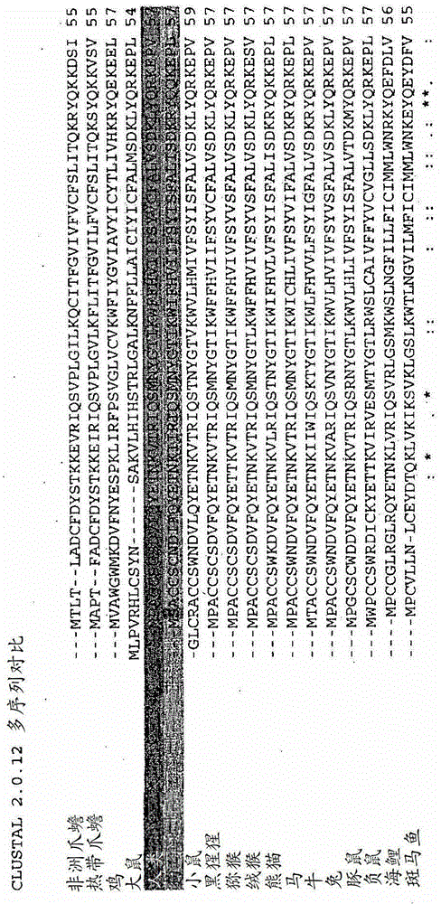 陪伴动物治疗的制作方法与工艺