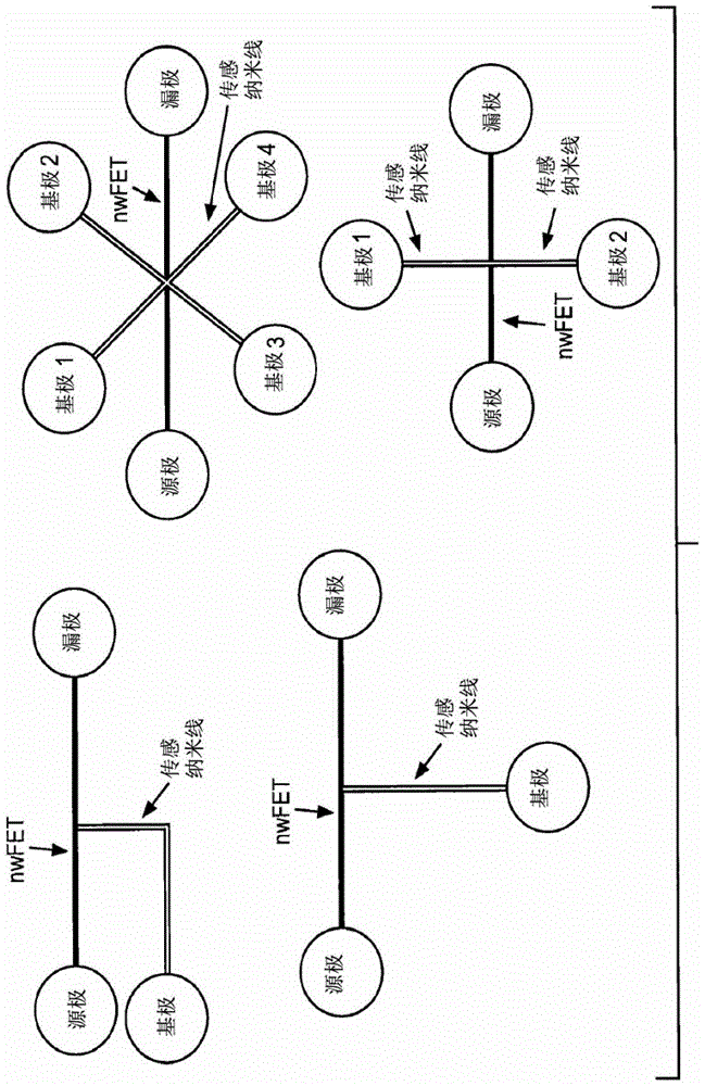 具有提高的靈敏度的納米線場效應晶體管生物傳感器的制作方法與工藝