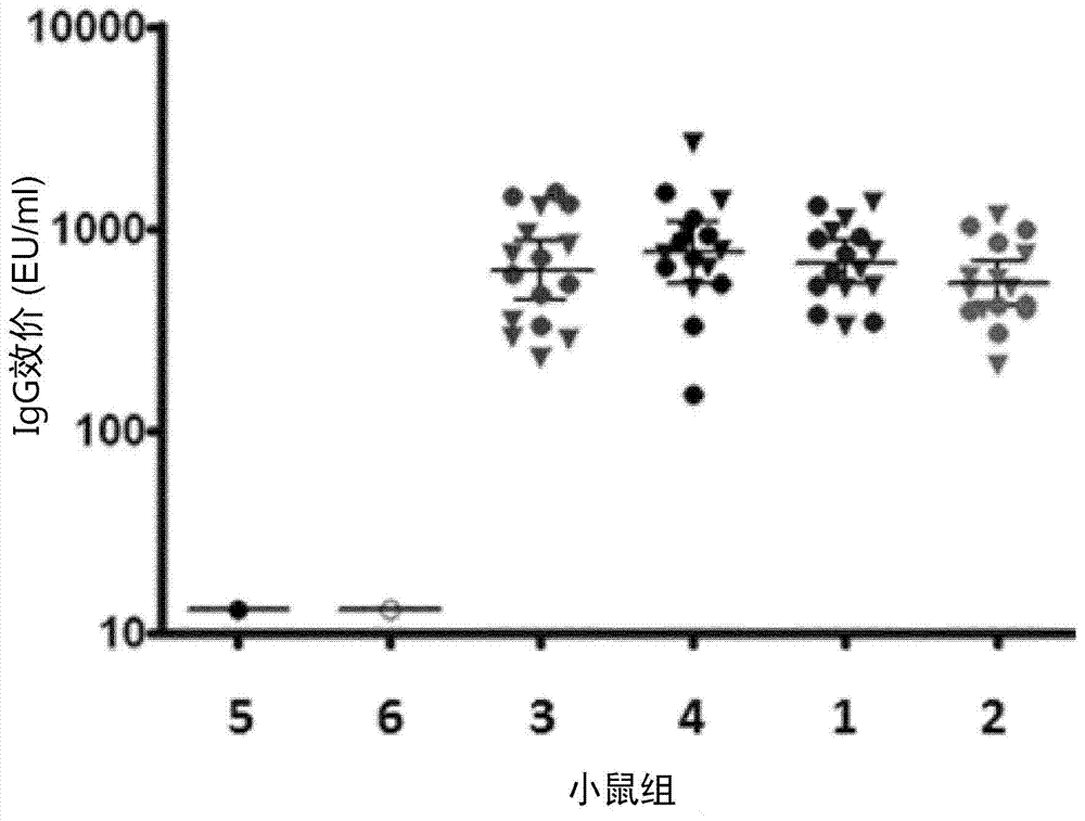 免疫原性组合物的制作方法与工艺