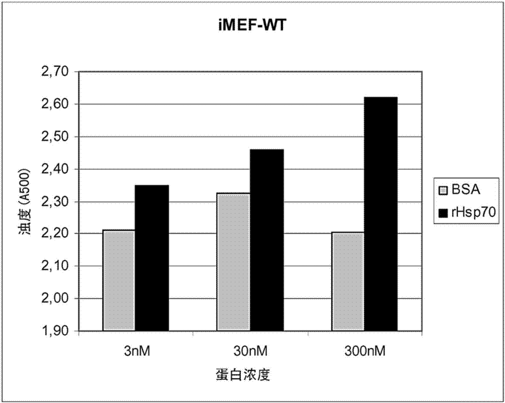 Hsp70作為酶促活性調(diào)節(jié)物的應(yīng)用的制作方法與工藝