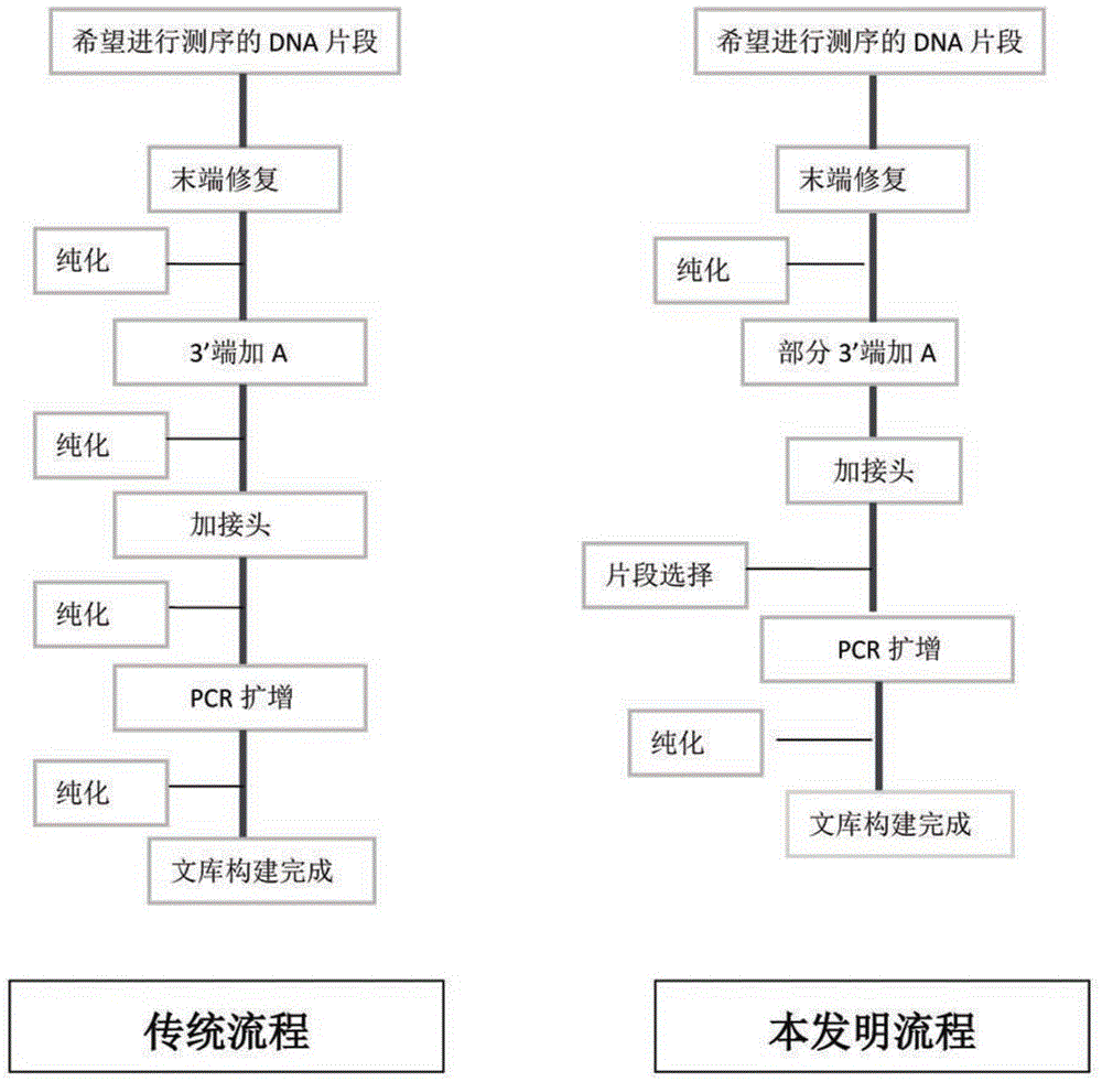 一种构建测序用DNA文库的方法与流程