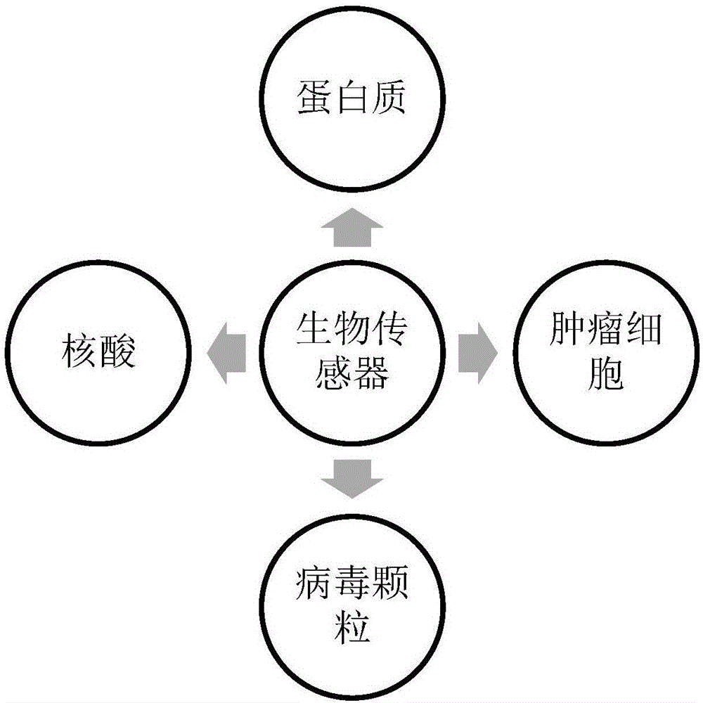 抗体偶联碳纳米管为敏感材料的生物传感器的制备方法及应用与流程