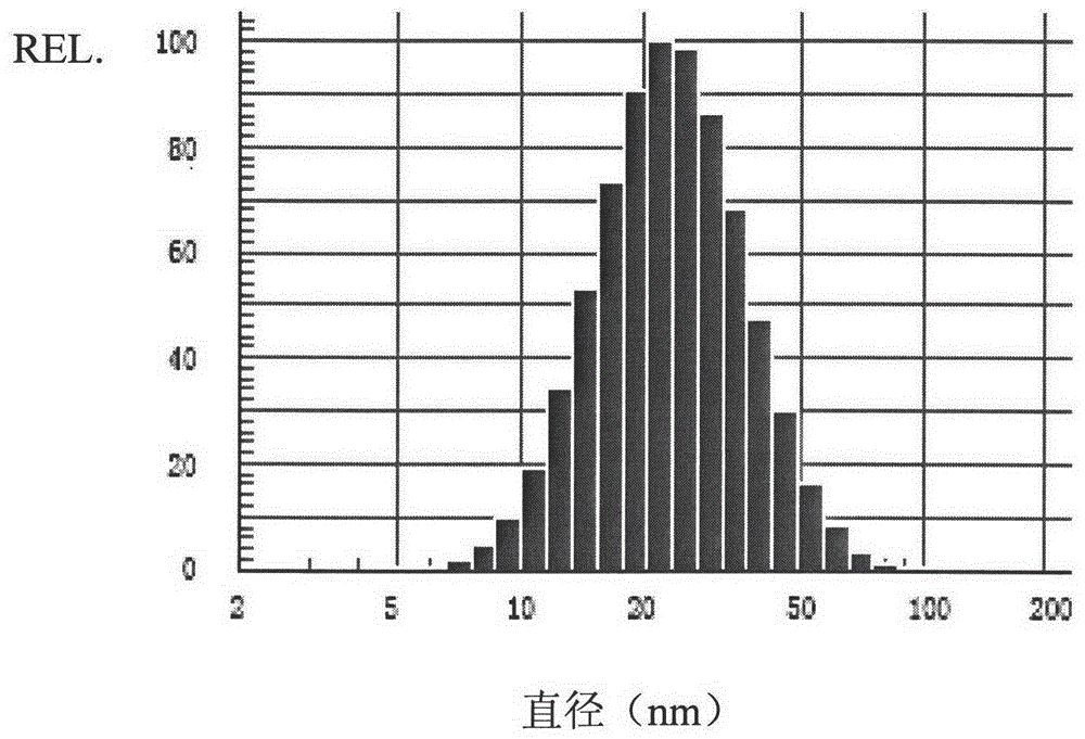 一種人參皂苷Rh1自微乳組合物及其制備方法和用途與流程