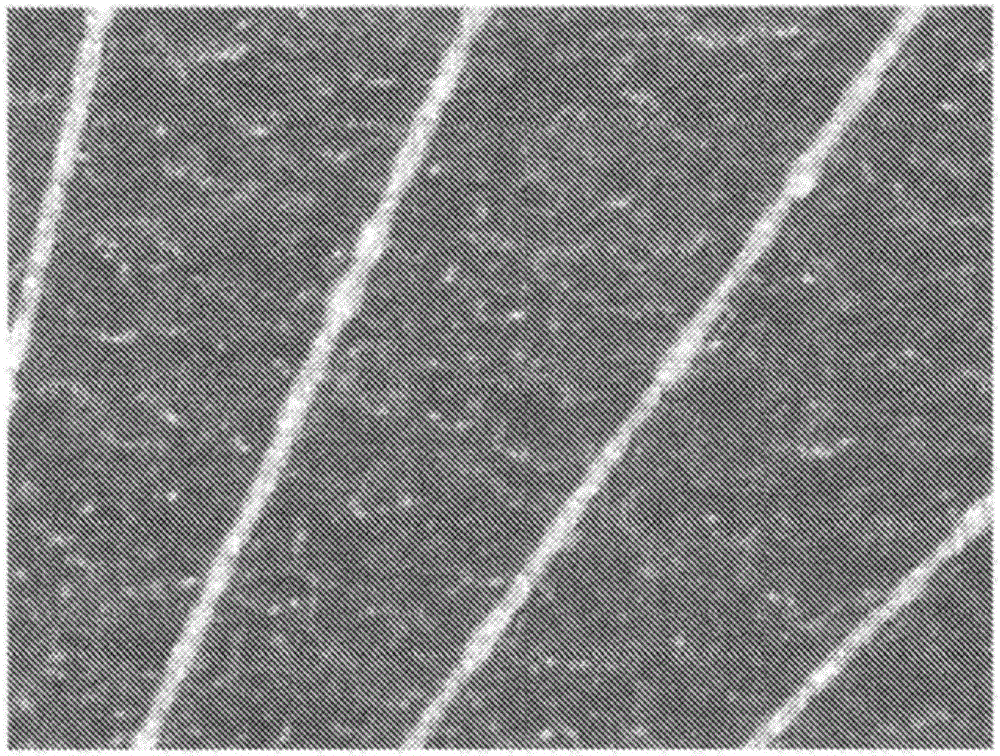 銀粒子涂料組合物的制作方法與工藝