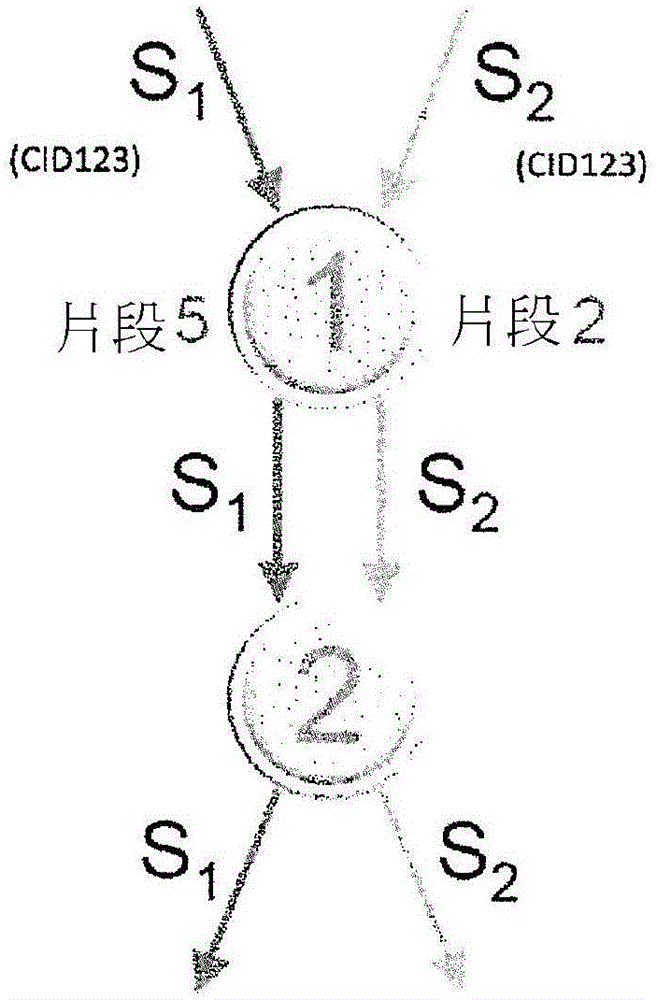 提供冗余数据流量控制特性计算器网络及相关方法与流程