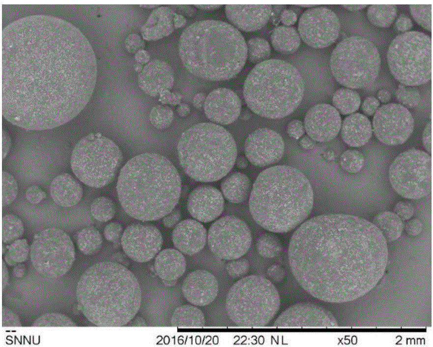 Janus型多级孔SiO2微球及其制备方法和应用与流程