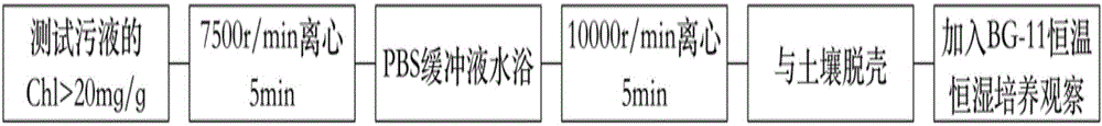 一种在复合绝缘材料表面养殖藻类的方法与流程