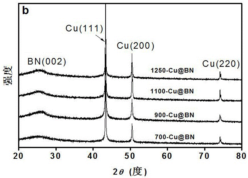 一种铜纳米颗粒/六方氮化硼复合材料及其制备方法与流程