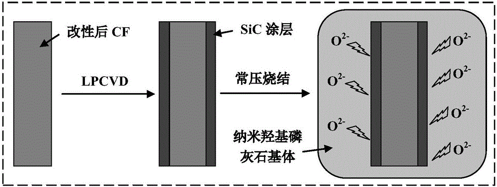 一種適用于常壓燒結(jié)法的碳纖維/碳化硅/羥基磷灰石人工骨復(fù)合材料的制備方法與流程