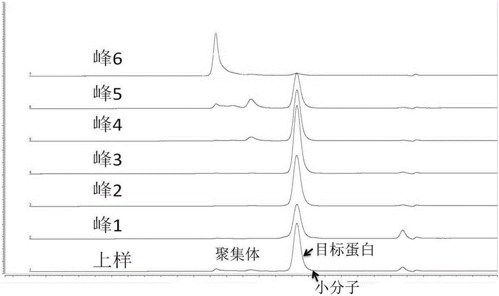 一種用離子交換層析純化蛋白質(zhì)的方法與流程