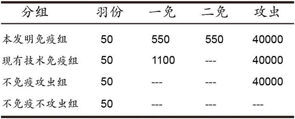 一種雞球蟲病疫苗免疫方法與流程