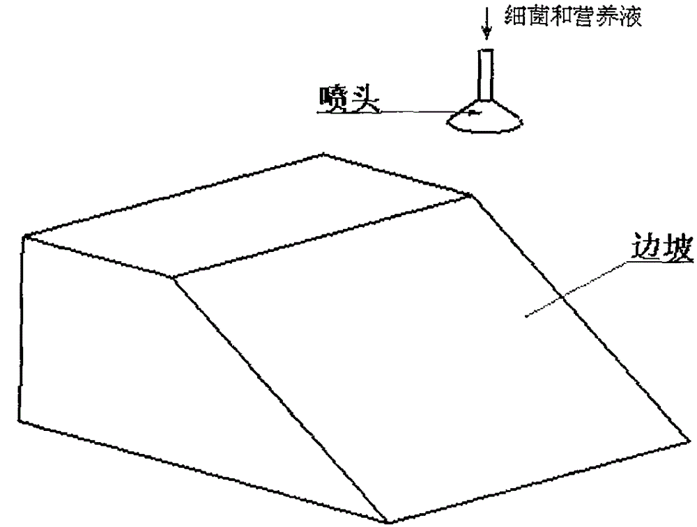 一种用于边坡加固的吸附增强型微生物加固液及其使用方法与流程