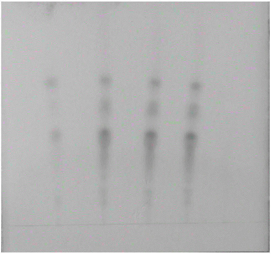 一種清熱止痢顆粒的薄層色譜檢測(cè)方法與流程