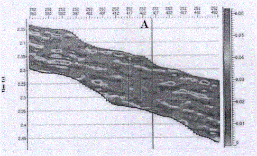 一种页岩气地层层理地球物理评价方法与流程
