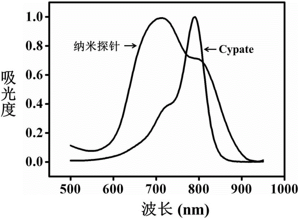 用于體內(nèi)細(xì)菌感染的診療一體化納米探針及其制備方法與流程