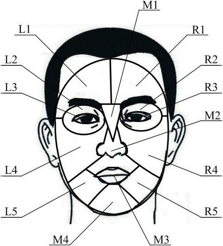 一种基于人工神经网络的人脸肤质检测方法与流程