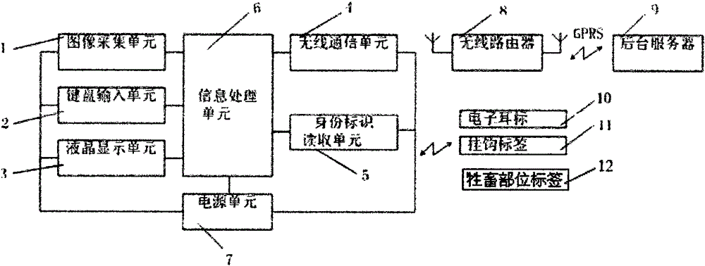 一種牲畜宰后視檢信息采集終端及視檢結果輔助判定方法與流程