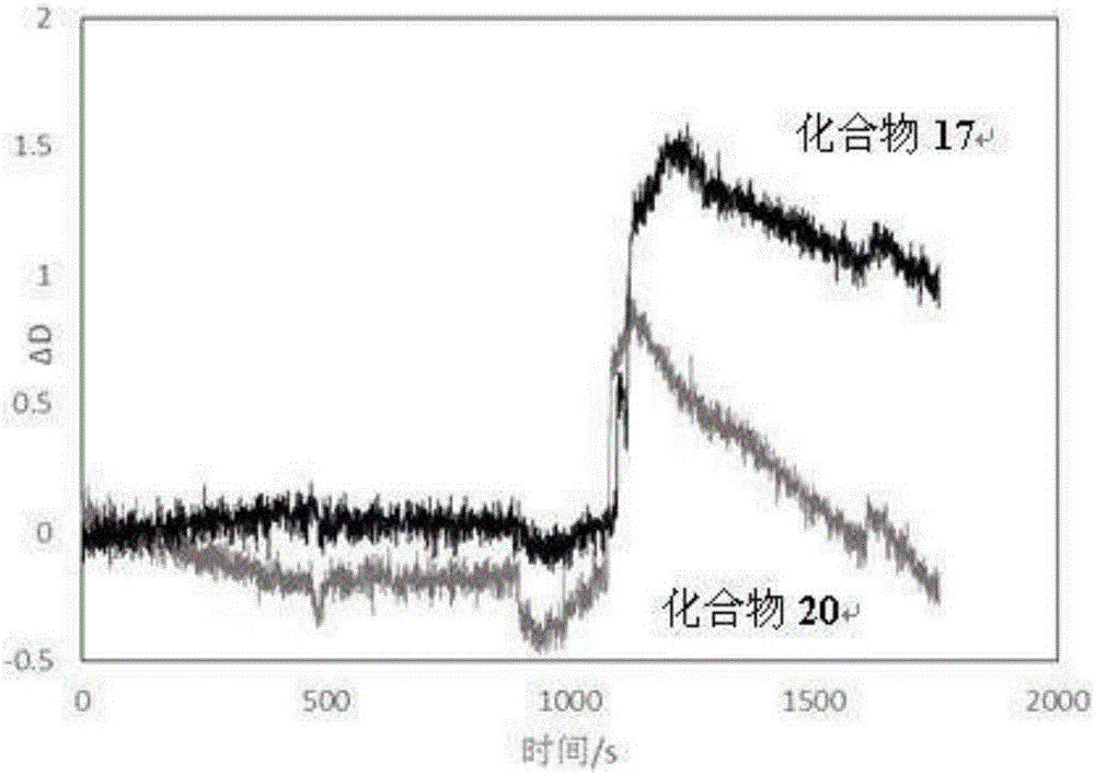 糖簇化合物及其藥學(xué)上可接受的鹽、它們的用途和一種藥物組合物的制作方法與工藝