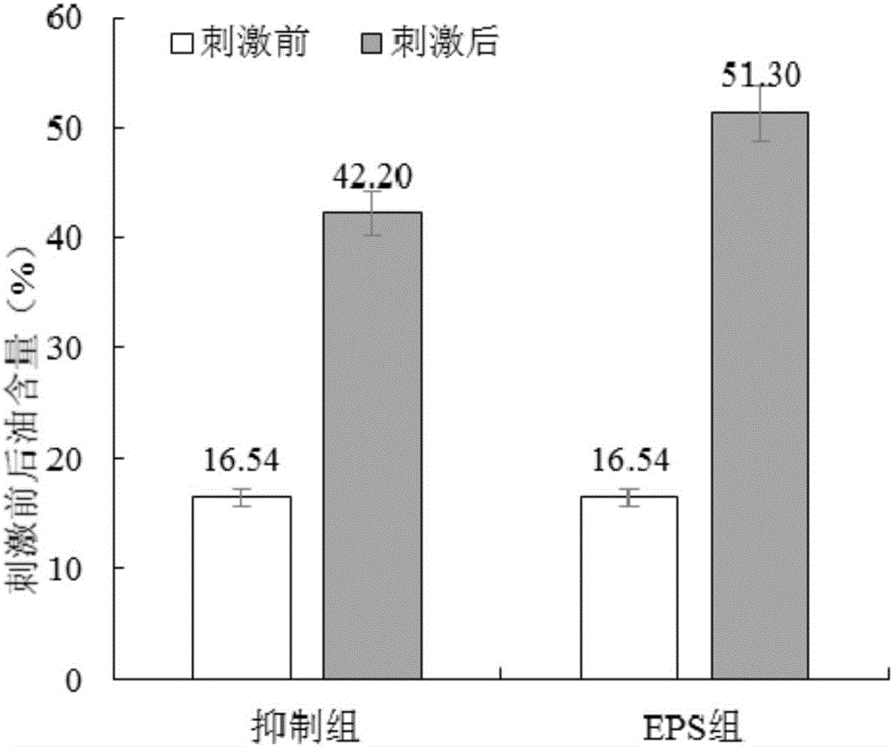 一種微藻生物膜的培養(yǎng)方法與流程