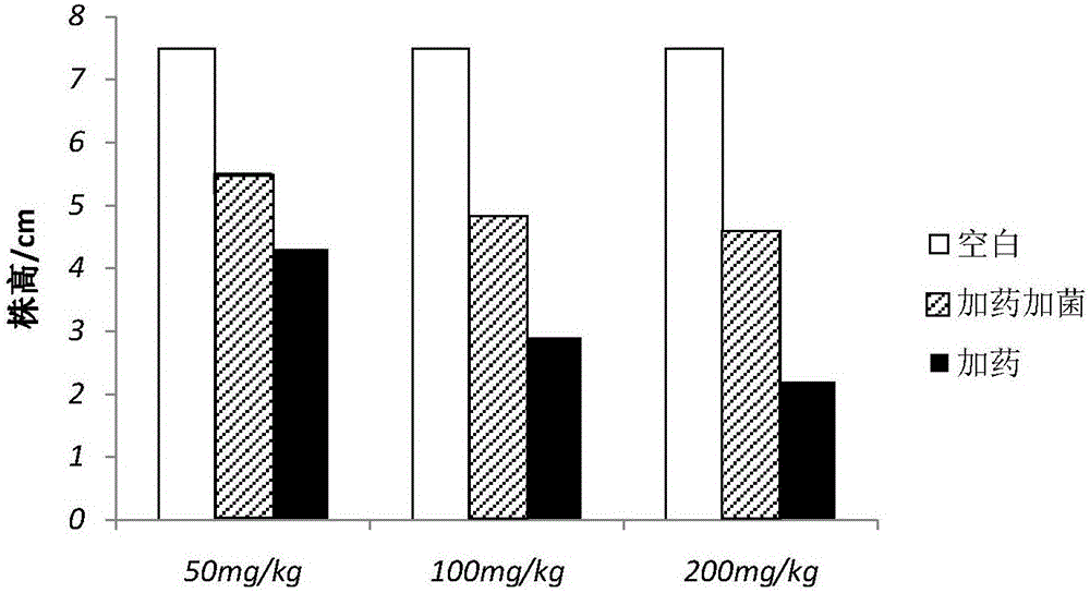 戊唑醇農(nóng)藥降解菌和基于該菌的土壤生物修復菌劑及其應用的制作方法與工藝