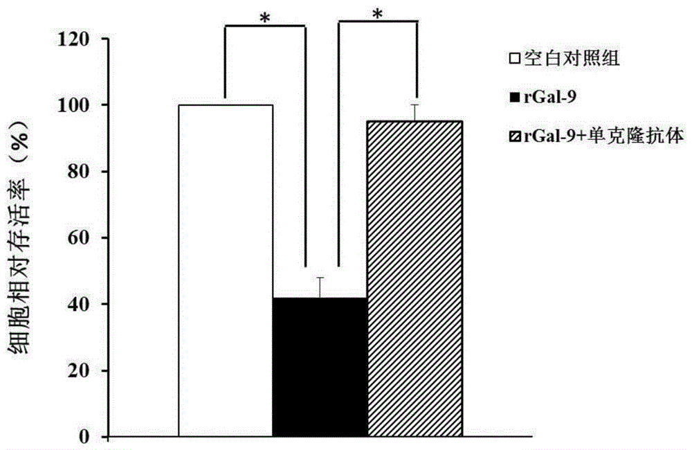 一种抗人Tim‑3的单克隆抗体的抗原结合部分的制作方法与工艺