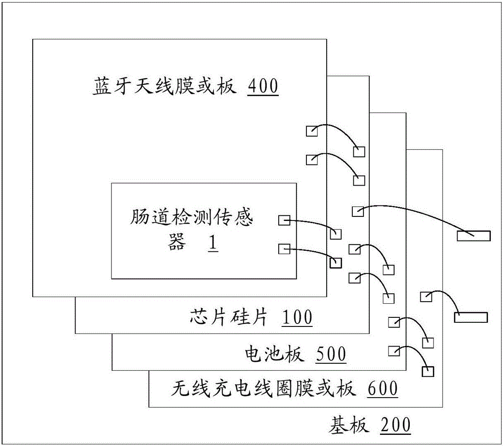 肠道检测一体化芯片及其实现方法与流程