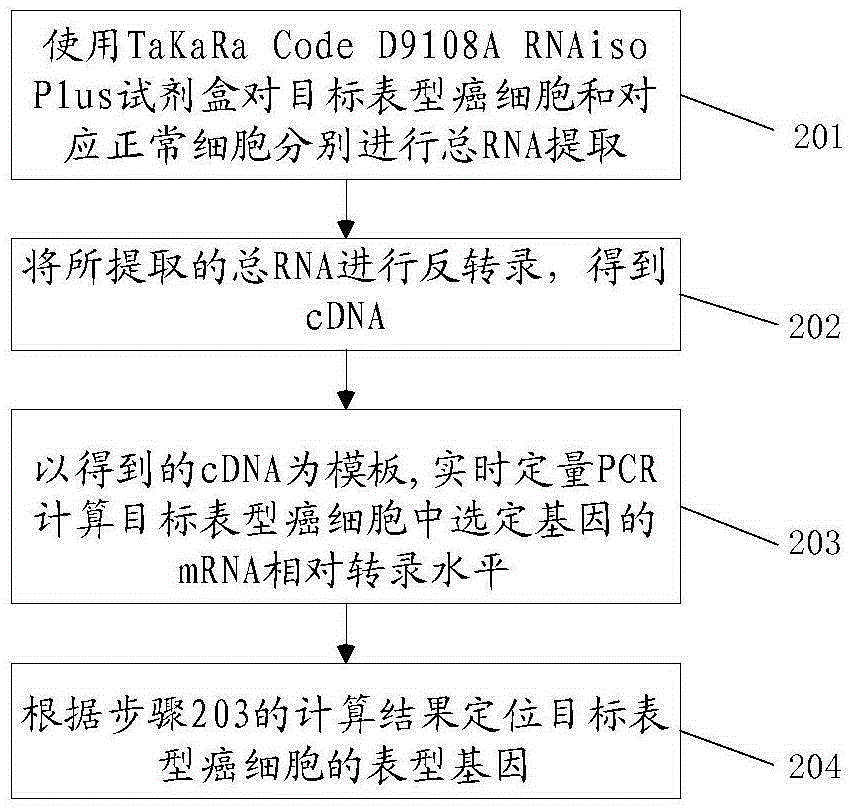 一種定位目標(biāo)表型癌細胞中表型基因的方法與流程