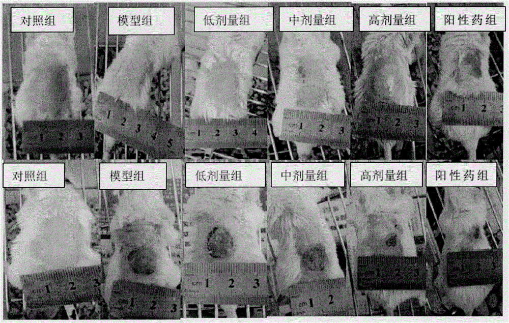 一种治疗烧烫伤的中药材提取物的制作方法与工艺