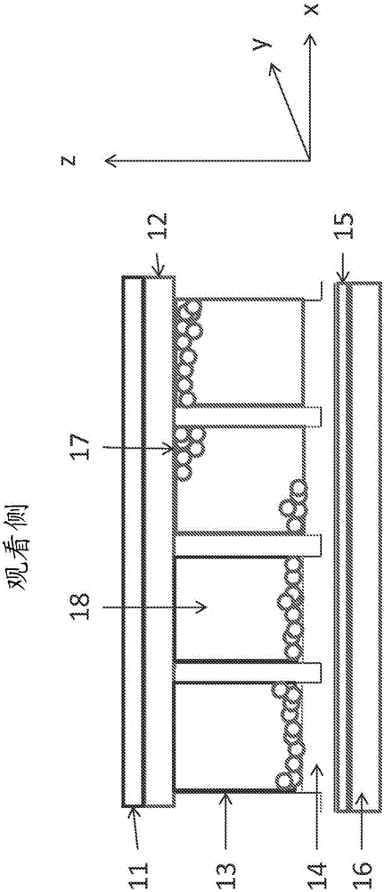 用于電泳顯示器的各向異性導(dǎo)電介電層的制作方法與工藝