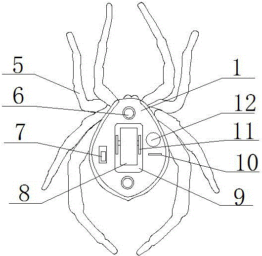 一種蜘蛛形態(tài)的玩具的制作方法與工藝