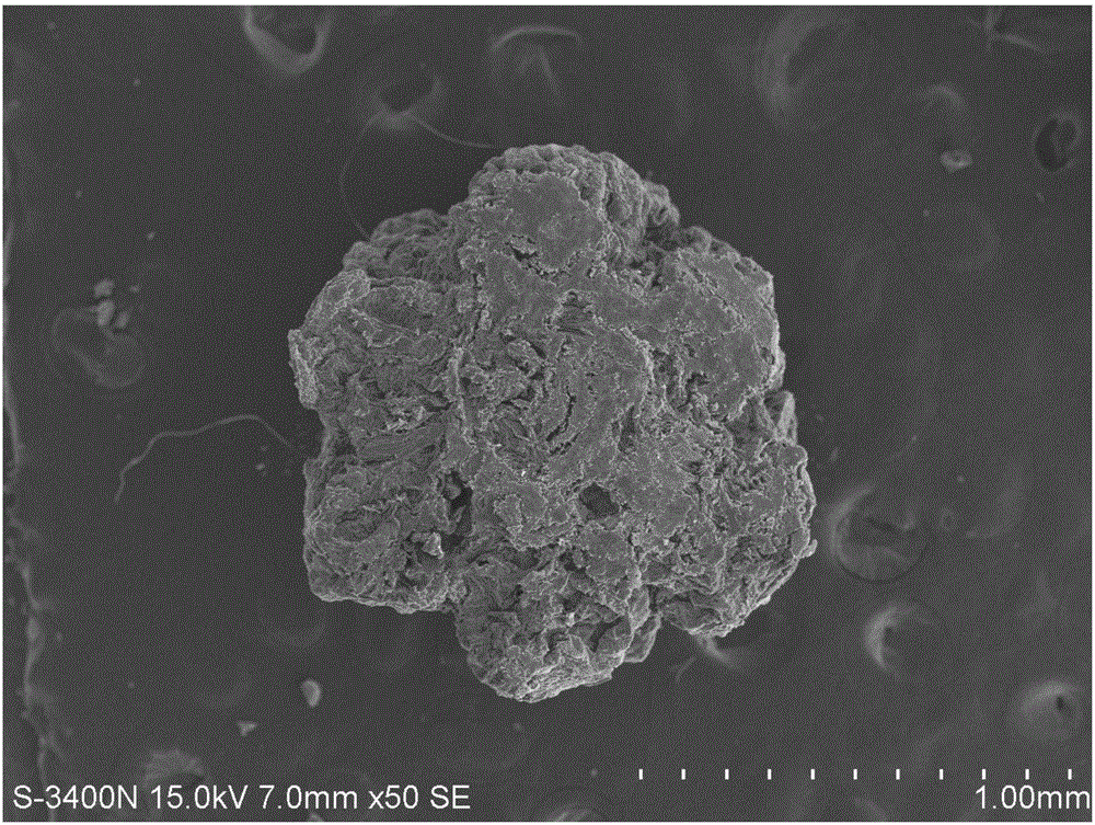 一種蠶沙多孔炭MOFs復(fù)合材料及其制備方法與應(yīng)用與制造工藝