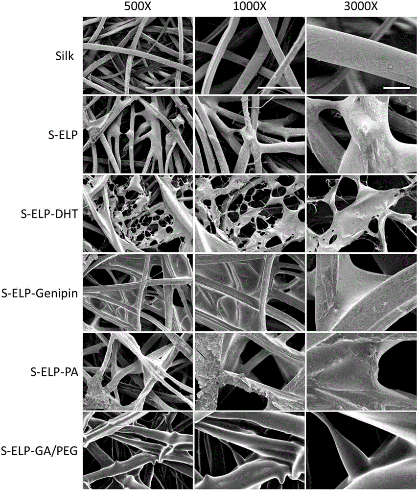 一种类弹性蛋白‑蚕丝纤维多孔复合材料及其应用的制造方法与工艺