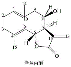 澤蘭內(nèi)酯作為制備抗肝癌和結(jié)腸癌藥物中的應(yīng)用的制造方法與工藝