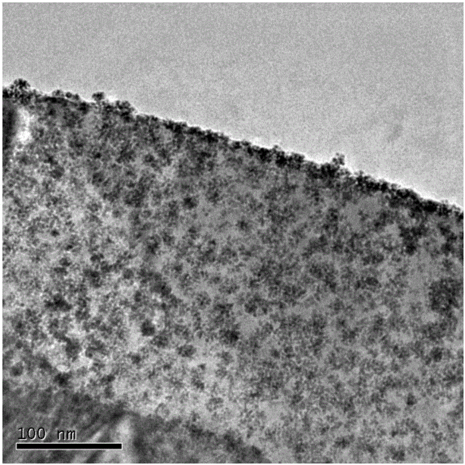 氧化铜‑铂纳米复合体在抗菌方面的应用的制造方法与工艺