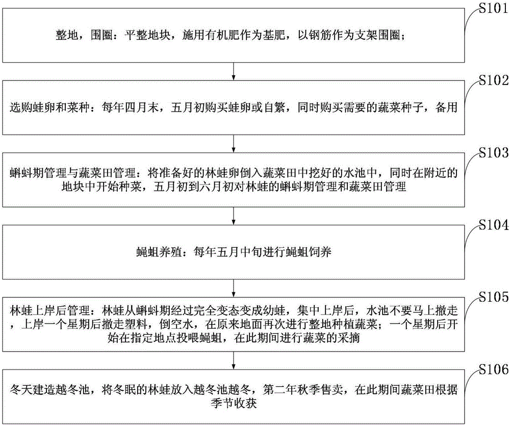 一种蔬菜‑林蛙‑蝇蛆三位一体化养殖方法与制造工艺