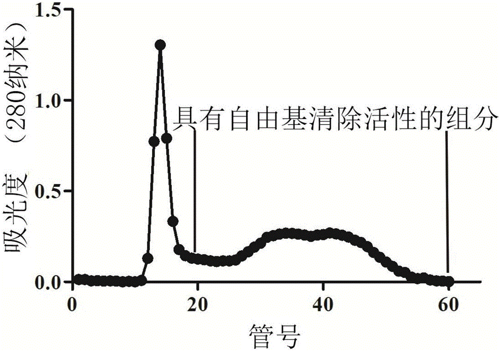 云南臭蛙皮膚抗氧化多肽AOP?OA2及其制備方法與應(yīng)用與制造工藝