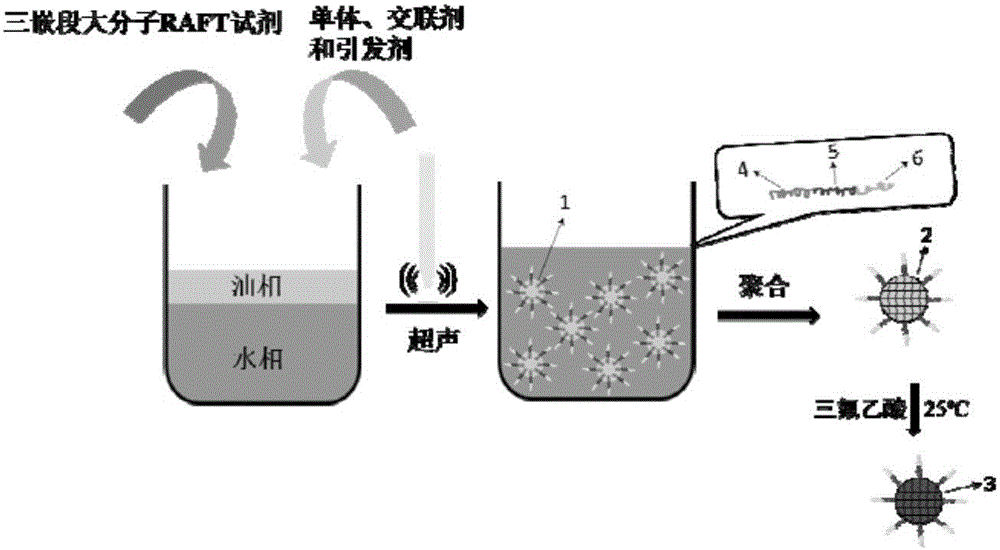 一種具有擠壓和開關(guān)效應(yīng)的納米藥物載體的制備方法與制造工藝