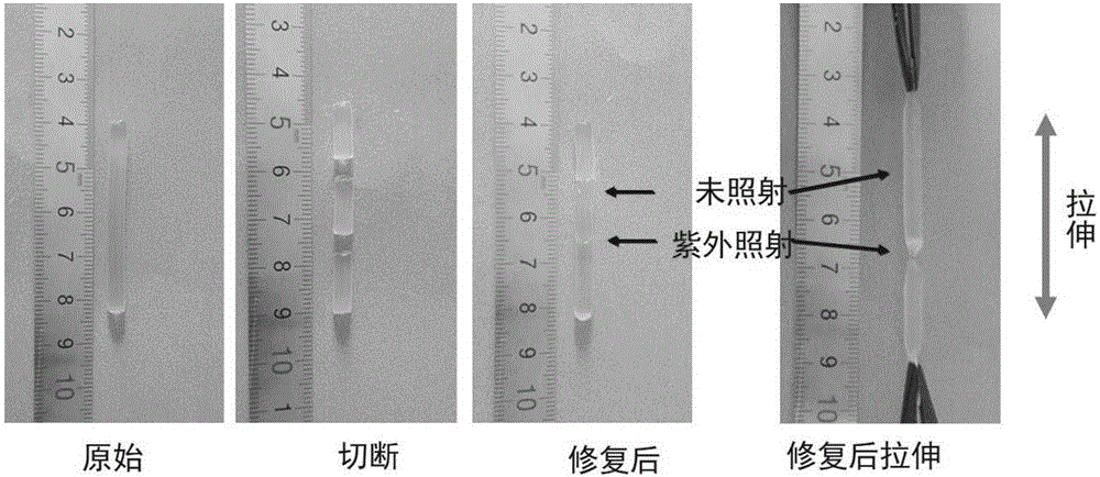 一種自修復(fù)水凝膠及其制備方法與制造工藝