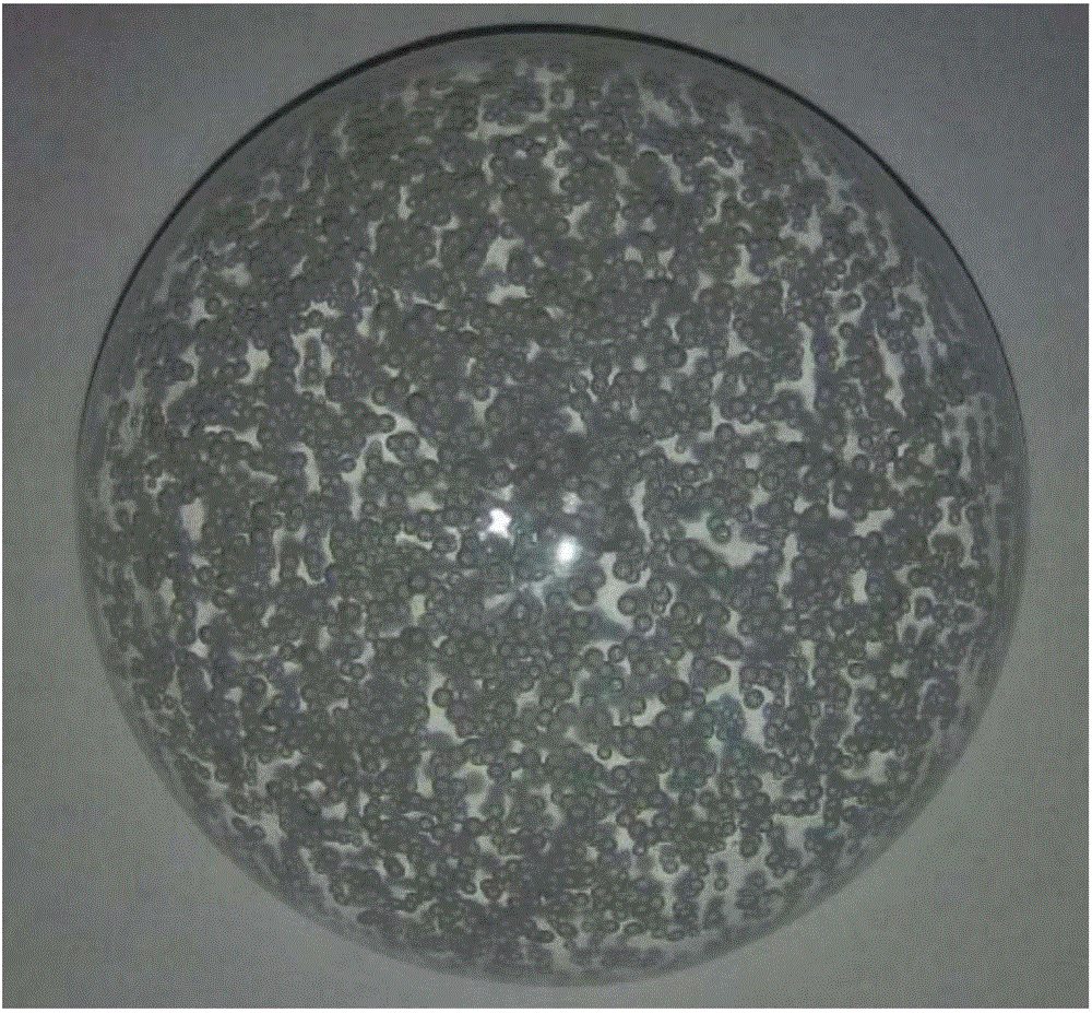一种微孔型有机硅微米球及其制备方法和应用与制造工艺