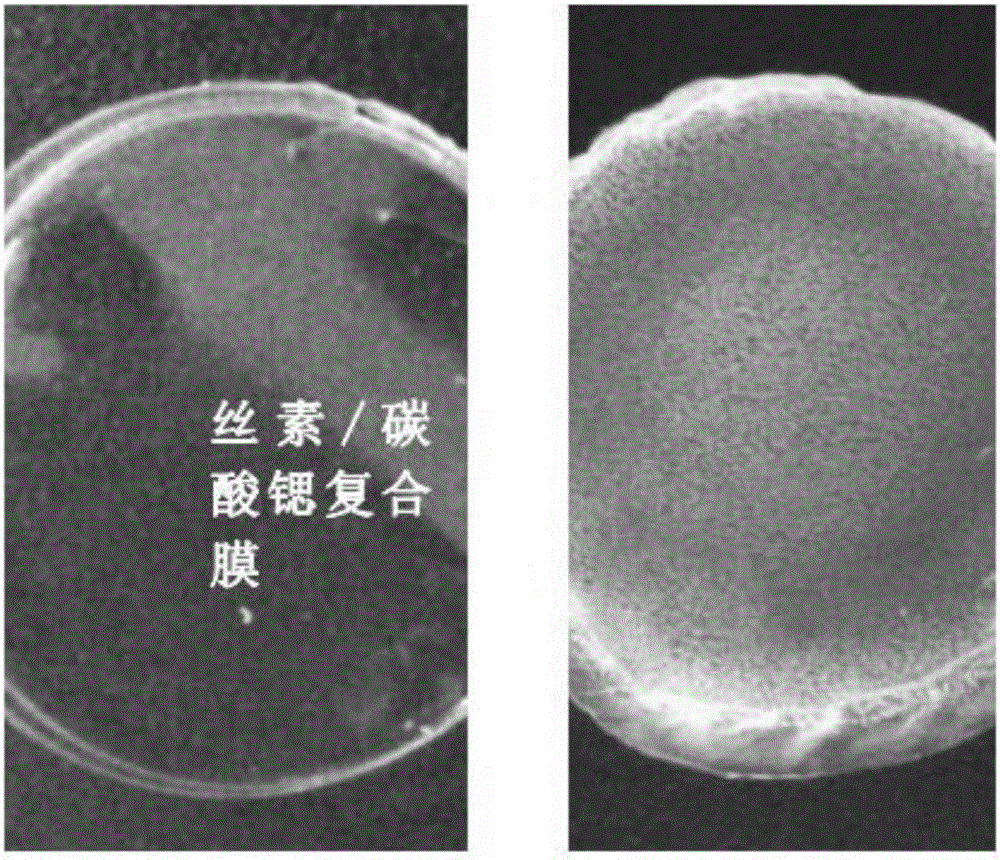 一种丝素/碳酸锶复合材料及其制备方法与制造工艺