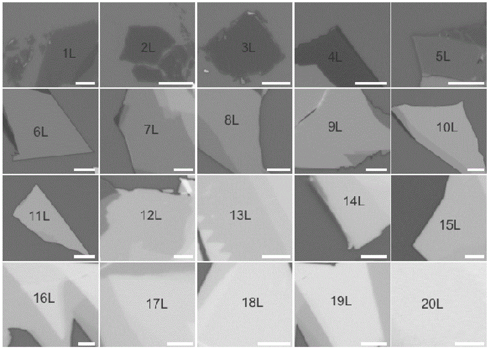 通过光学图像衬度差鉴别TMDs二维纳米薄片厚度的方法与制造工艺