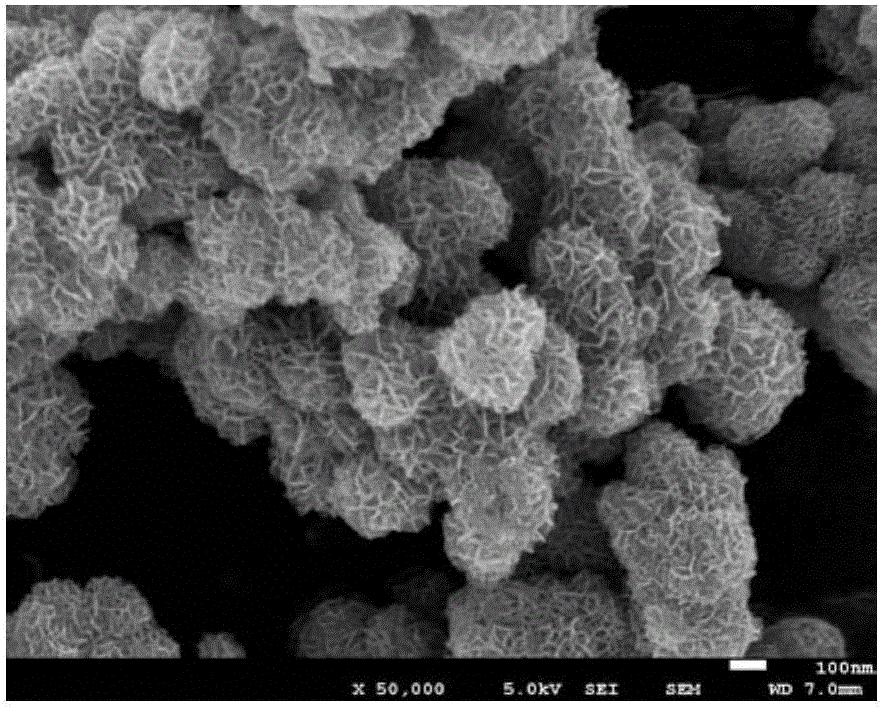 一种分级结构的MoS2纳米球双功能氧催化剂及其制备方法和应用与制造工艺