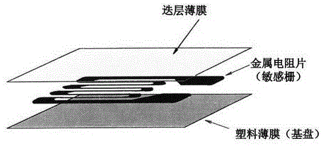 一種基于實時信號監(jiān)測系統(tǒng)的電動力實驗測量方法與制造工藝