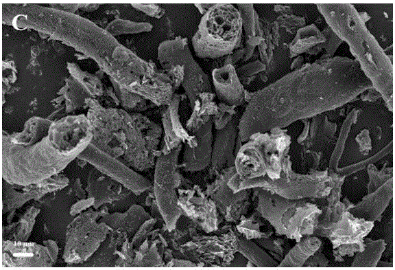 一種作為鈉離子電池與鋰離子電池負極材料的植物纖維三維結構碳材料及其制備方法與制造工藝