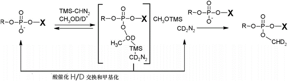 一種磷脂的精確定量分析方法與制造工藝