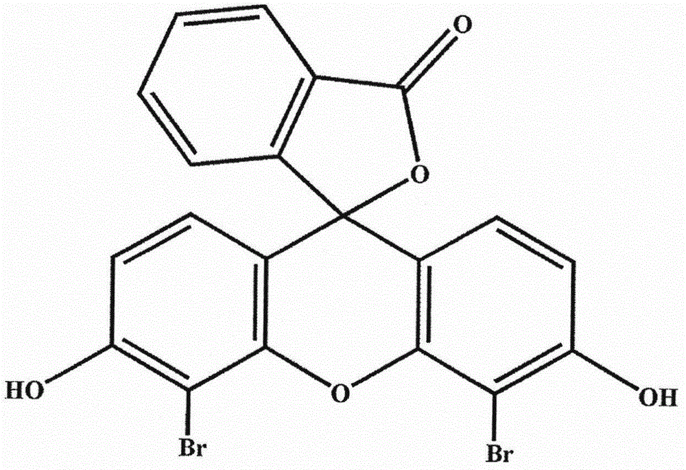 4’,5’‑二溴荧光素及其衍生物在蛋白检测中的应用的制造方法与工艺