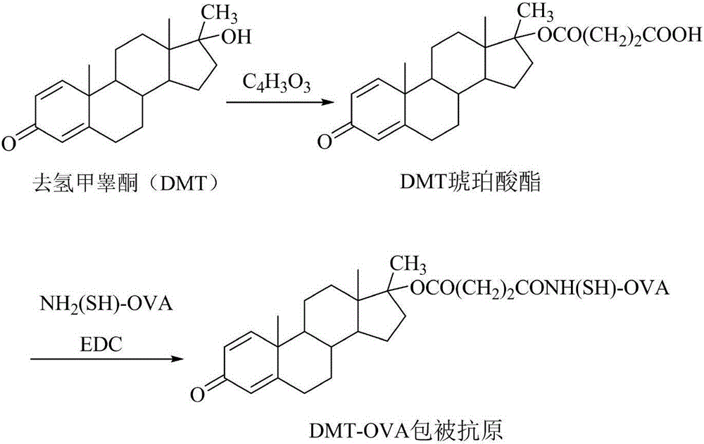 一种去氢甲睾酮抗原及其制备方法和检测试纸卡与制造工艺